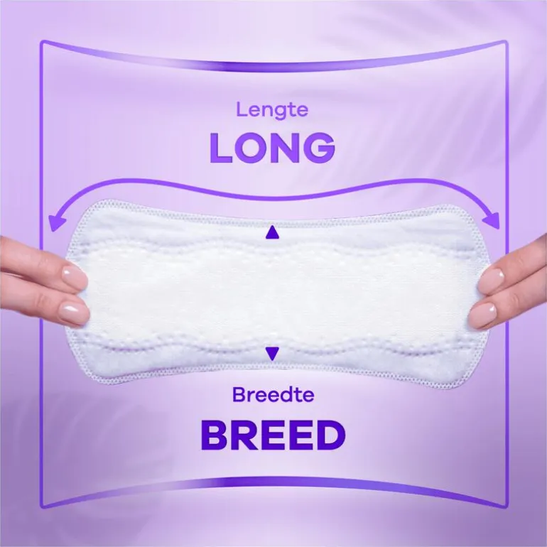 Always Dailies Protect Long 0 Parfum Big Pack