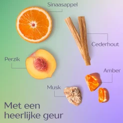 Andrélon Iedere dag shampoo 400 ML