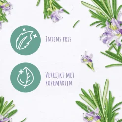 Andrélon Pro Nature Rosemary Refresh Shampoo400 ML