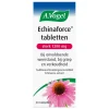A.Vogel Echinaforce Bij Onvoldoende Weerstand En Griep Tabletten 30 stuks