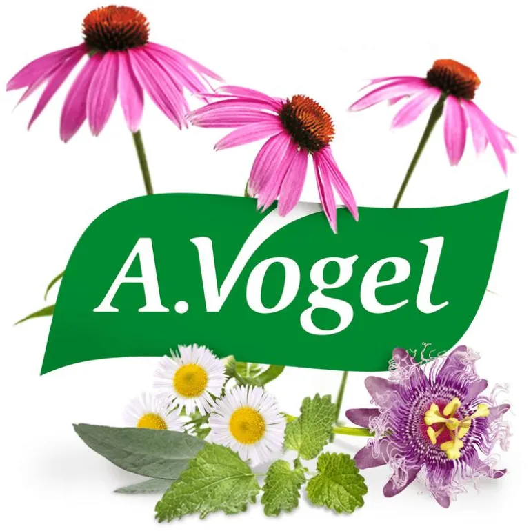 A.Vogel Echinaforce Hot Drink bij Griep en Verkoudheid Drank 100 ML