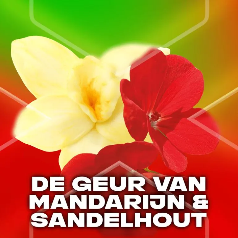 AXE Africa 3-in-1 Douchegel 250 ML