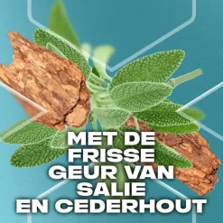 AXE Apollo Douchegel 250 ML