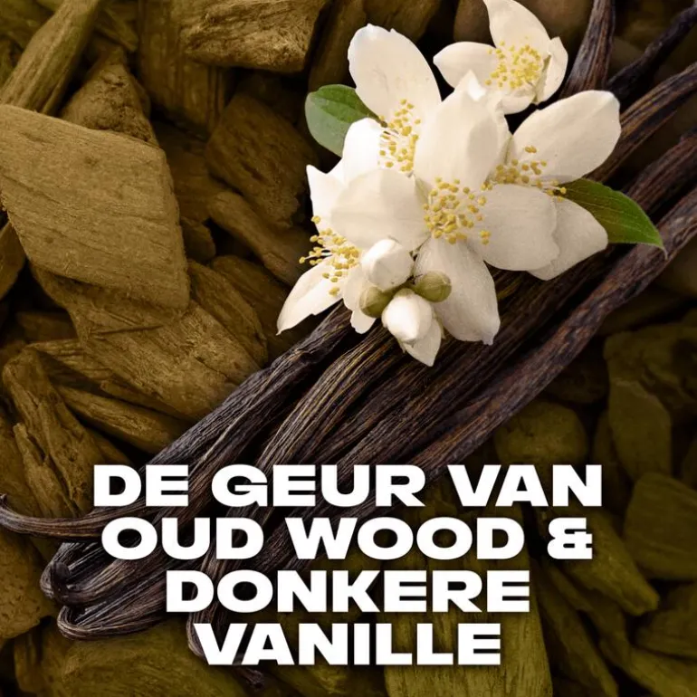 AXE Gold Anti-Transpirant Deodorant Spray 150 ML