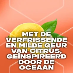 AXE Sunset Fresh Deodorant Bodyspray 150 ML