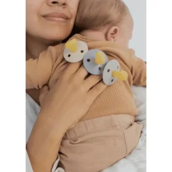 BIBS Anatomische Glow in the Dark Fopspeen 2 Pack Natuurlijk Rubber Sage/Rubber Maat 2