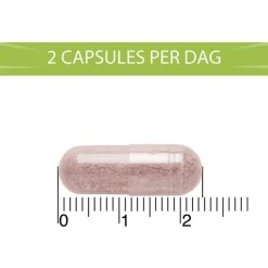 BlaseBerry 50 capsules