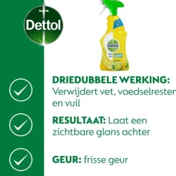 Dettol Spray Citrus 500 ML