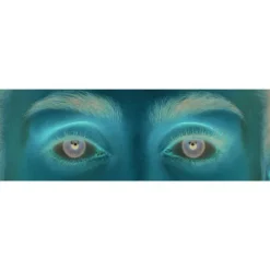 Eylure Whispy Wimper Clusters