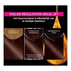 Garnier Olia Permanente Haarverf 4.15 IJs-Kastanjebruin