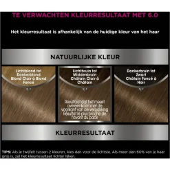 Garnier Olia Permanente Haarverf 6.0 Donkerblond