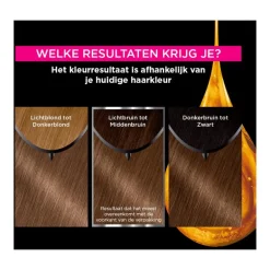 Garnier Olia Permanente Haarverf 6.0 Donkerblond