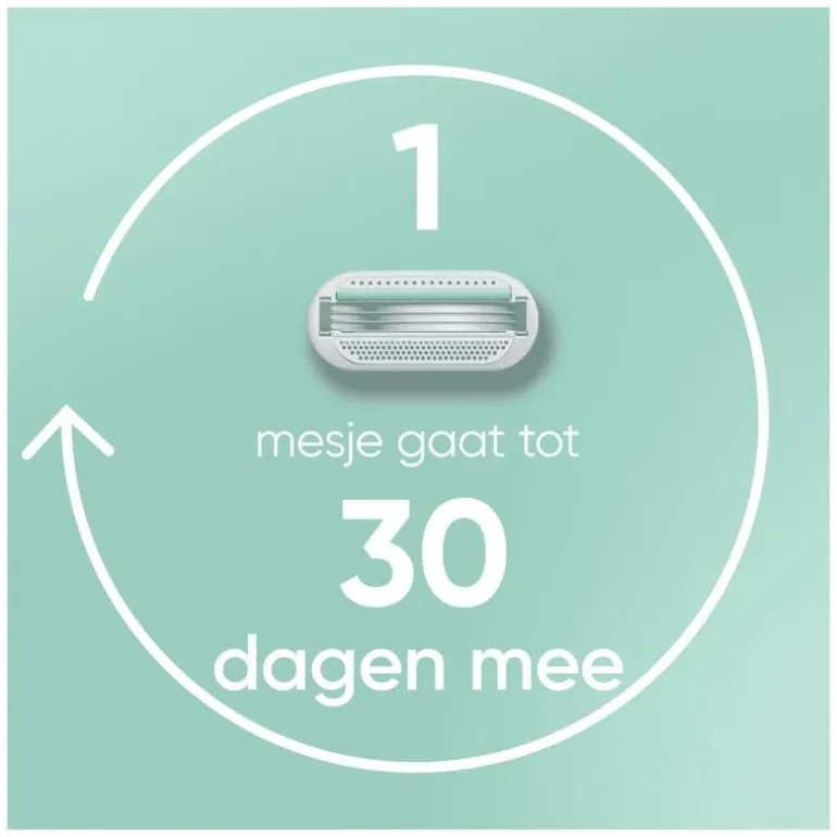 Gillette Venus Smooth Navulmesjes 4 Stuks