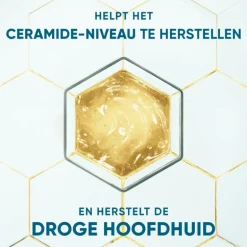 Head & Shoulders Derma X Pro Hydrateert Shampoo Anti-roos 250 ml