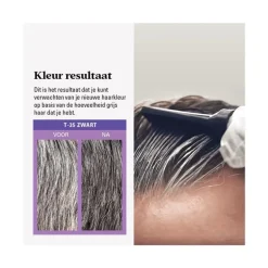 Just For Men Touch of Grey T35