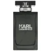 Karl Lagerfeld pour Homme eau de toilette 100 ML