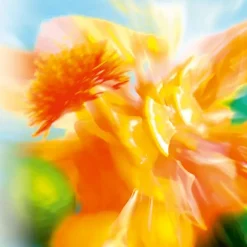 Kneipp Badolie Good Energy 100 ML