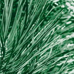 Kneipp Men 2-in-1 Nature Feeling Douchegel 200 ml