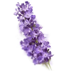 Kneipp Relaxing Douchefoam 200 ML