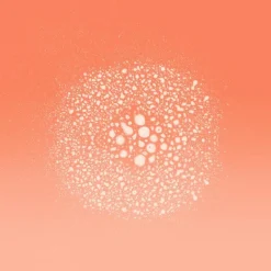 L'Oréal Paris Elvive Dream Lengths Droogshampoo 200 ML