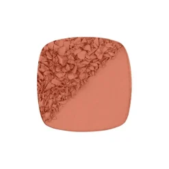 L'Oréal Paris True Match Le Blush 160 Pêche Roze 5 GR