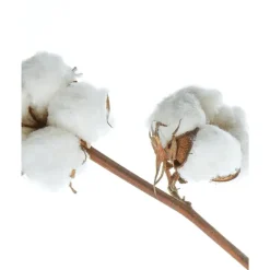 NIVEA Classic Care Milde Shampoo 250ml