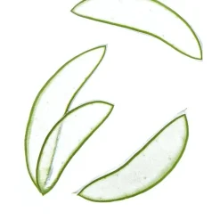 NIVEA Shampoo 2-in-1 Express Shampoo 250 ML