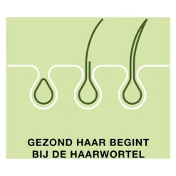 Priorin 120 Capsules Met Biotine Voor Sterk En Vol Haar Van Binnenuit