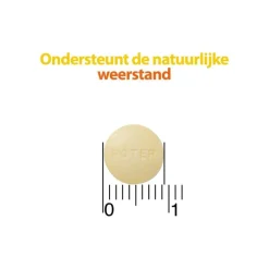 Roter Vitamine C 70 mg citroen 800 kauwtabletten