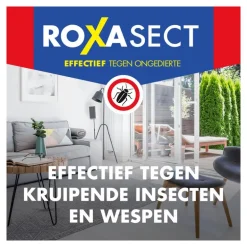 Roxasect Spuitbus Kruipende Insecten en Wespen 400 ML