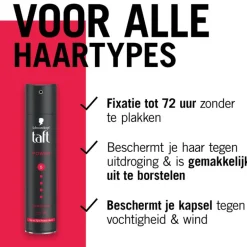 Taft Styling Power Haarspray 250 ML