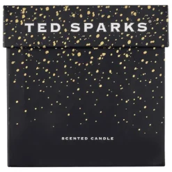 Ted Sparks Demi Candle Cinnamon & Spice