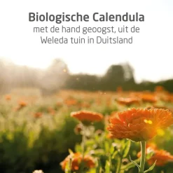 Weleda Calendula Billenbalsem Parfumvrij