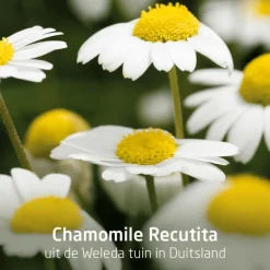 Weleda Planten Tandpasta