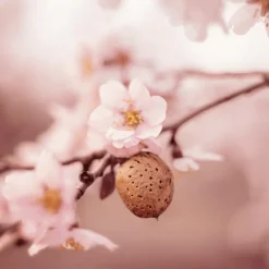 Weleda Sensitive Verzachtende Reinigingsmelk 75 ML